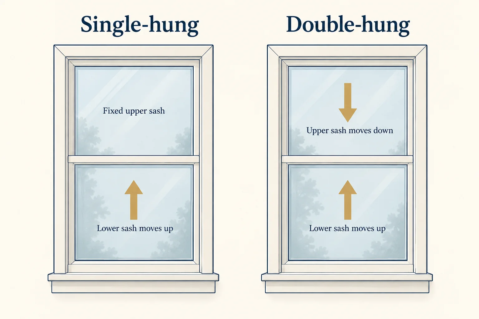 Single-hung window with a fixed upper sash beside a double-hung window; arrows show the lower sashes moving up and the double-hung upper sash moving down.